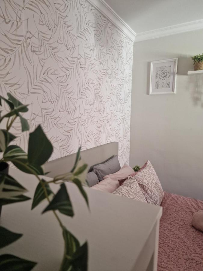 מאלגה Picasso Apartment מראה חיצוני תמונה